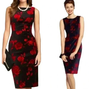 Talbots Elegant Rose Print Velvet Holiday Dress SZ 2